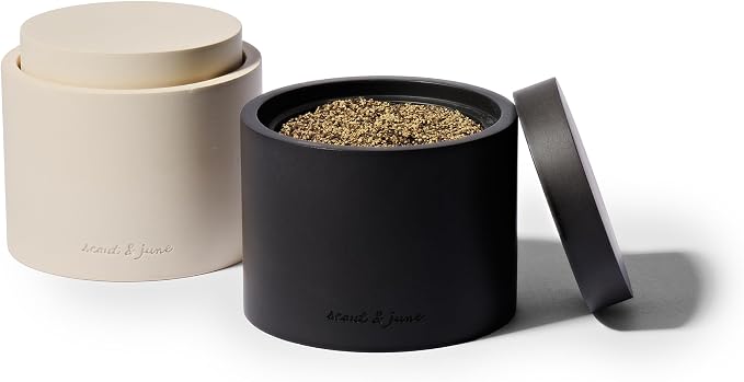 scout & june Stone Salt Cellar - Stackable, Salt and Pepper Bowls for Countertop - Crafted Salt Cellar with Lid - Convenient Kitchen Storage Containers for Spices & Pepper