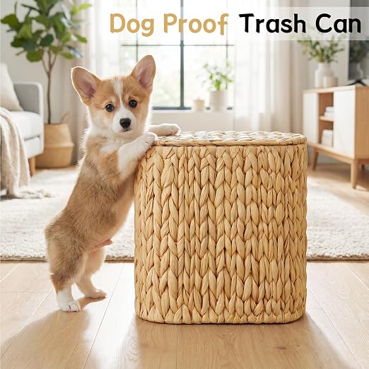 iEGrow 3 Gallon Wicker Trash Can, Bathroom Trash Can with Lid, Narrow Natural Water Hyacinth Waste Basket with Removable Liner, Boho Garbage Can for Bedroom, Office, Small Spaces Living Room, Toilet