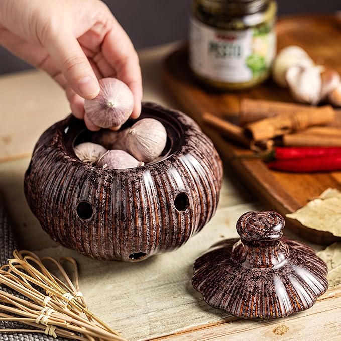 Ceramic Garlic Keeper with Lid, Large Garlic Storage Pod, Garlic Container for Kitchen Counter